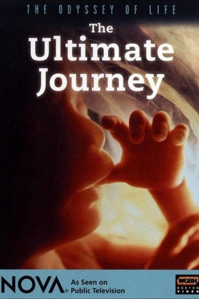 Póster de The Miracle of Life