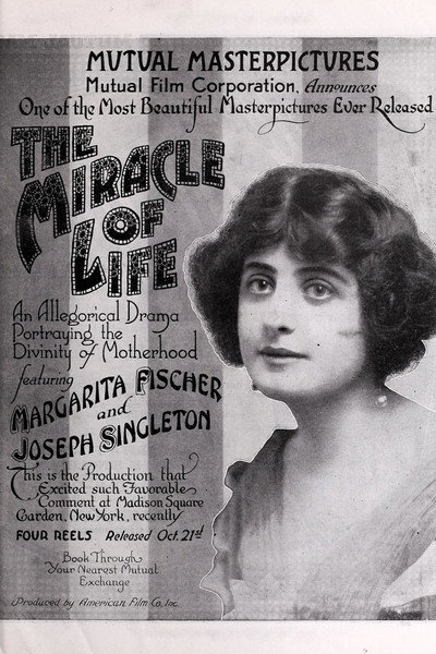 Póster de The Miracle of Life