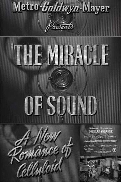 Póster de The Miracle of Sound