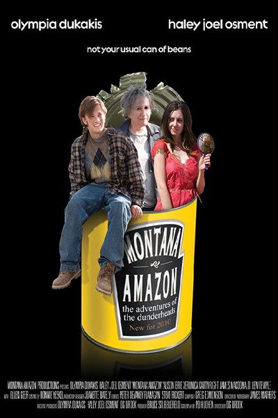 Póster de The Misadventures of the Dunderheads