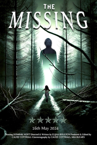 Póster de The Missing