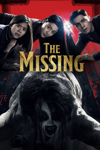 Póster de The Missing