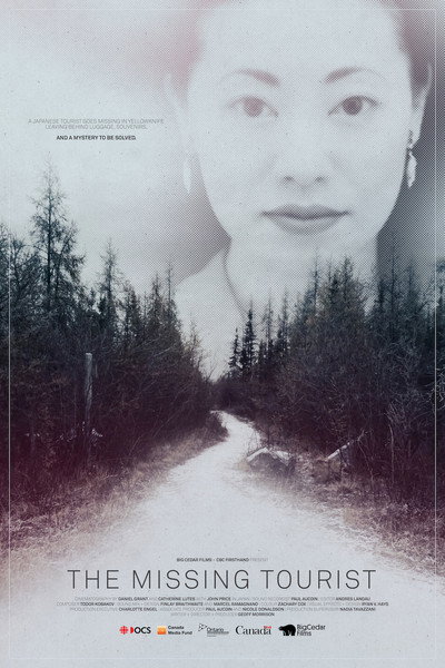 Póster de The Missing Tourist