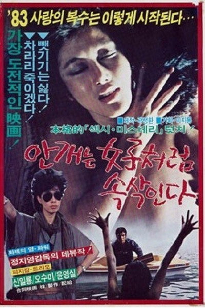 Póster de The Mist Whispers Like a Woman