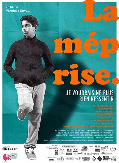 Póster de The misunderstanding
