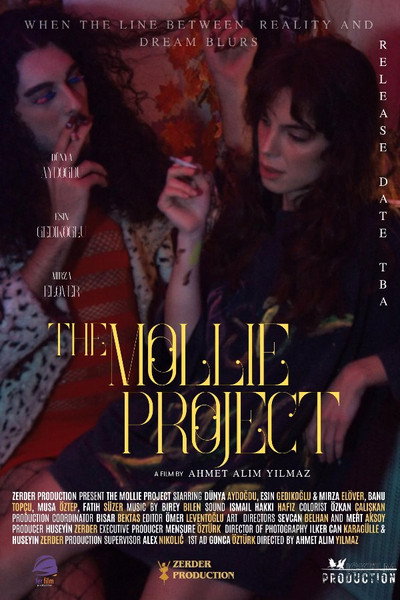 Póster de The Mollie Project