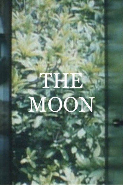 Póster de The Moon