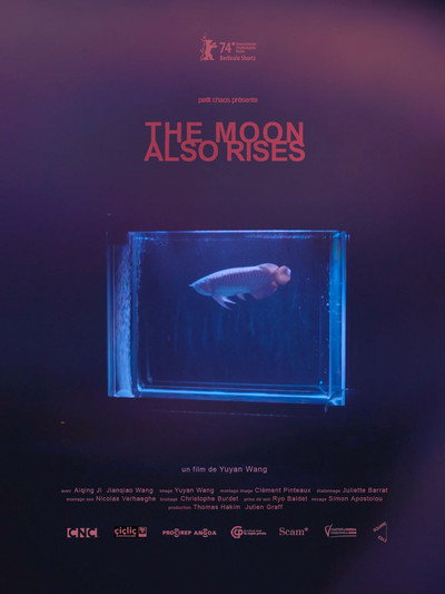 Póster de The Moon Also Rises