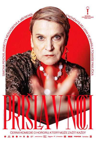 Póster de The Mother-in-Law