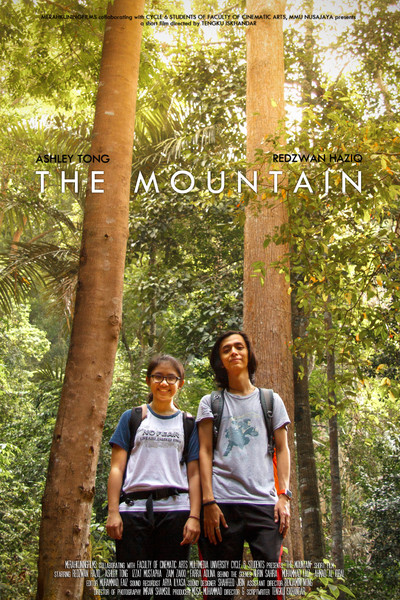 Póster de The Mountain