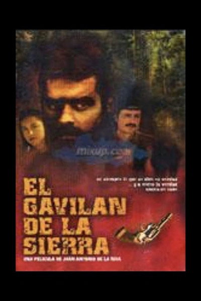 Póster de The Mountain Hawk
