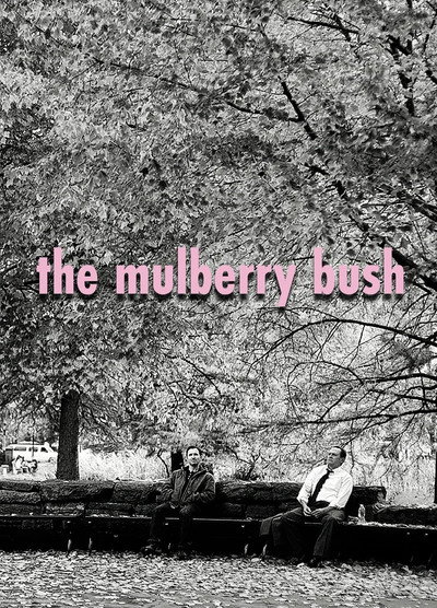 Póster de The Mulberry Bush