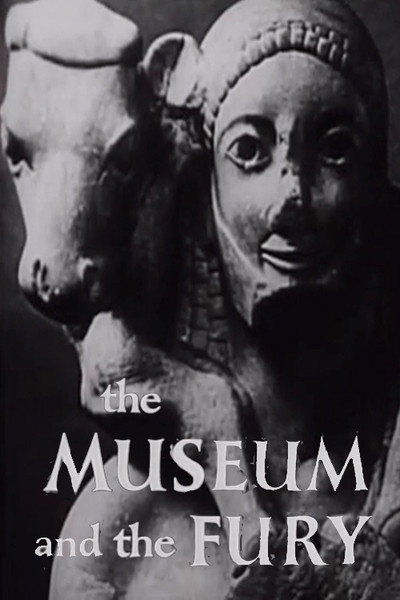 Póster de The Museum and the Fury