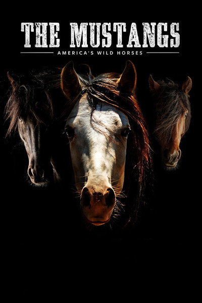 Póster de The Mustangs: America's Wild Horses