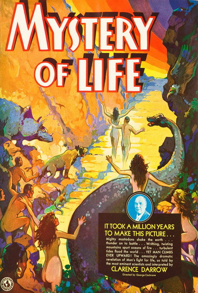 Póster de The Mystery of Life