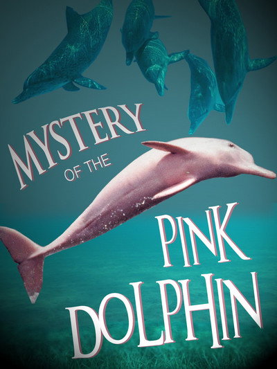 Póster de The Mystery of the Pink Dolphin