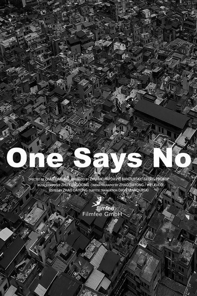 Póster de The Nailhouse: One says No