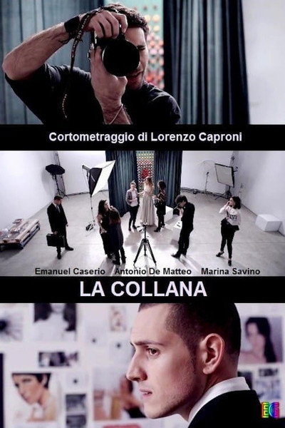 Póster de The Necklace