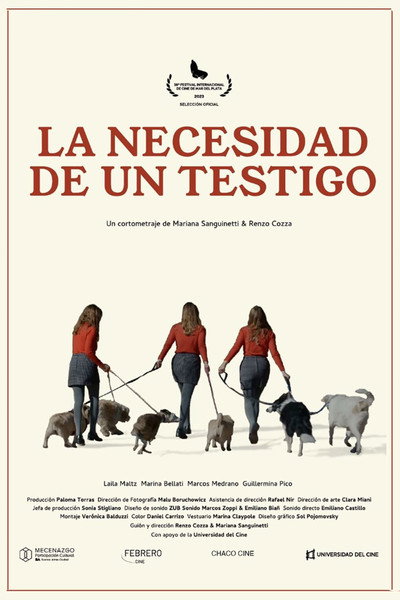 Póster de The Need of a Witness