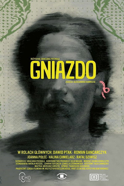 Póster de The Nest