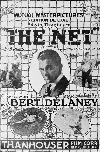 Póster de The Net