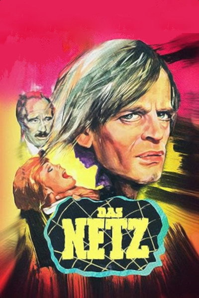 Póster de The Net