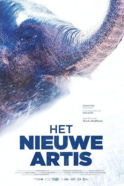 Póster de The New Artis