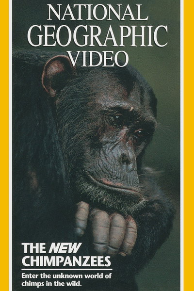 Póster de The New Chimpanzees