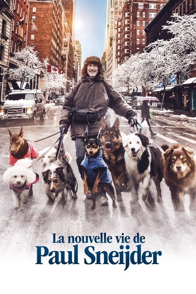 Póster de The New Life of Paul Sneijder