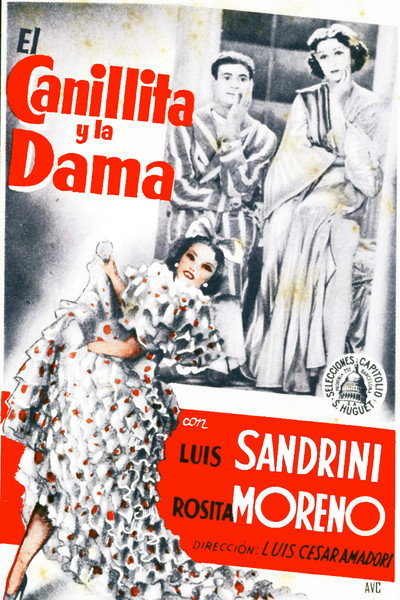 Póster de The Newsie and the Lady