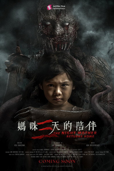 Póster de The Night Mother Return Home
