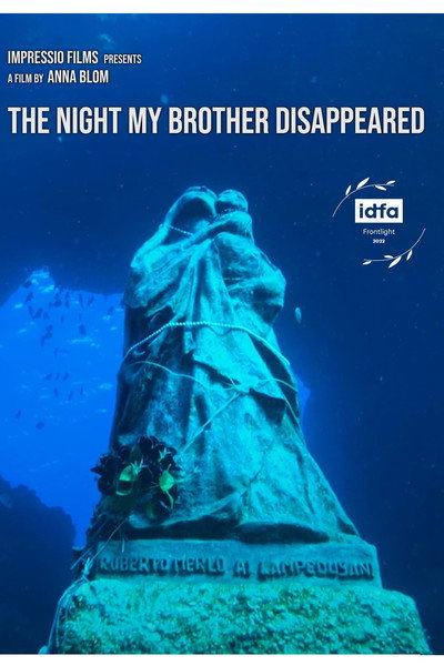 Póster de The Night My Brother Disappeared