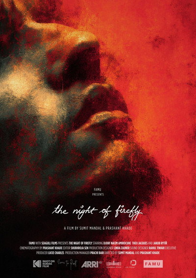 Póster de The Night of Firefly