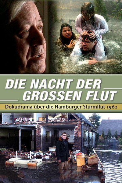 Póster de The Night of the Great Flood