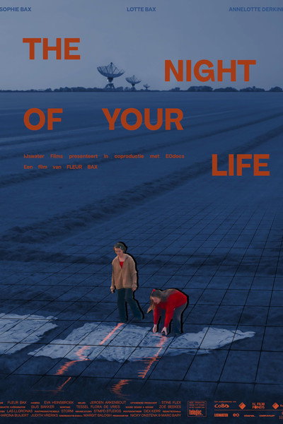 Póster de The Night of your Life
