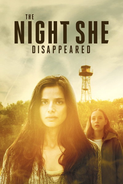 Póster de The Night She Disappeared
