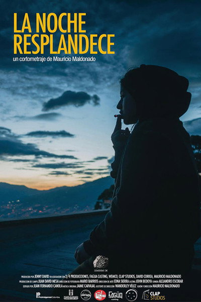 Póster de The Night Shines