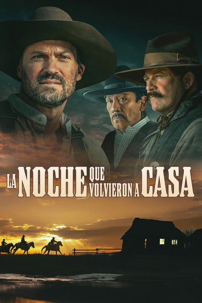 Póster de The Night They Came Home