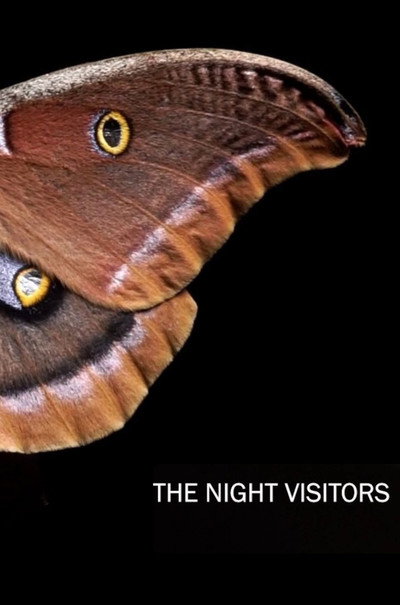 Póster de The Night Visitors