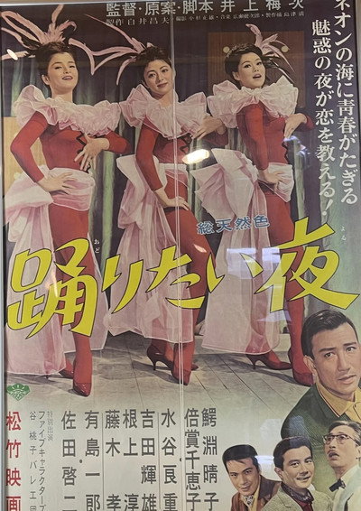 Póster de The Night We Danced