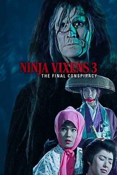 Póster de The Ninja Vixens 3: The Final Conspiracy