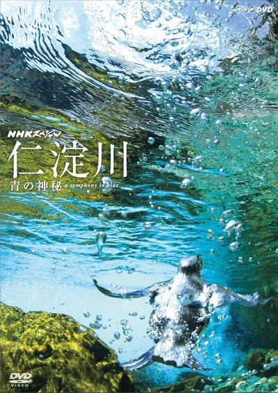 Póster de The Niyodo River: A Symphony in Blue