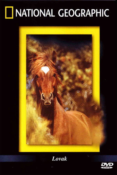Póster de The Noble Horse