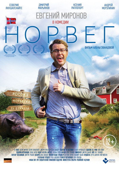 Póster de The Norseman