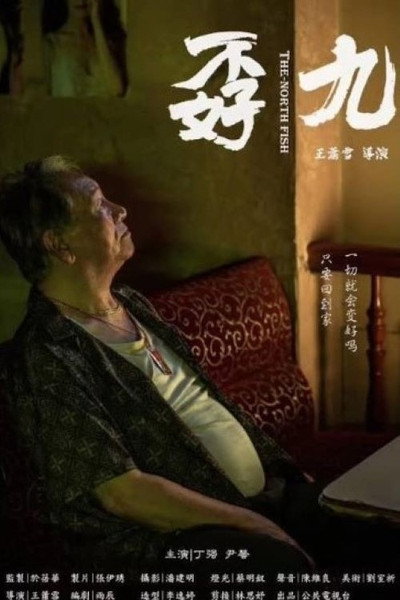 Póster de The North-Ming Fish