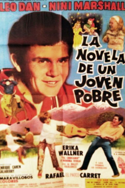 Póster de The Novel of a Poor Young Man