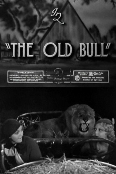 Póster de The Old Bull
