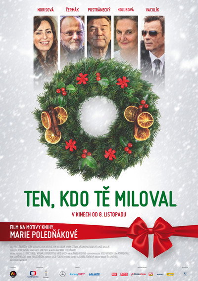 Póster de The One Who Loved You