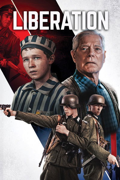 Póster de The Optimist: The Bravest Act Is Truth