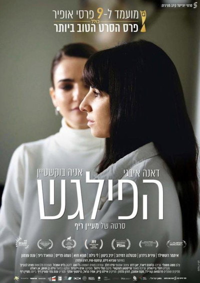 Póster de The Other Widow